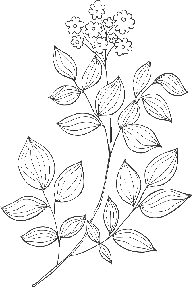 Fotógrafo de bodas en Bilbao, Fotógrafo de bodas en Donostia, Fotógrafo de bodas Bilbao, Fotógrafo de bodas en San Sebastián, Fotógrafo de bodas Gipuzkoa, Ezkontzak, Bodas bonitas, Bodas Vascas, Bodas en Euskadi, Reportaje de bodas Bilbao, Reportaje de bodas en San Sebastián