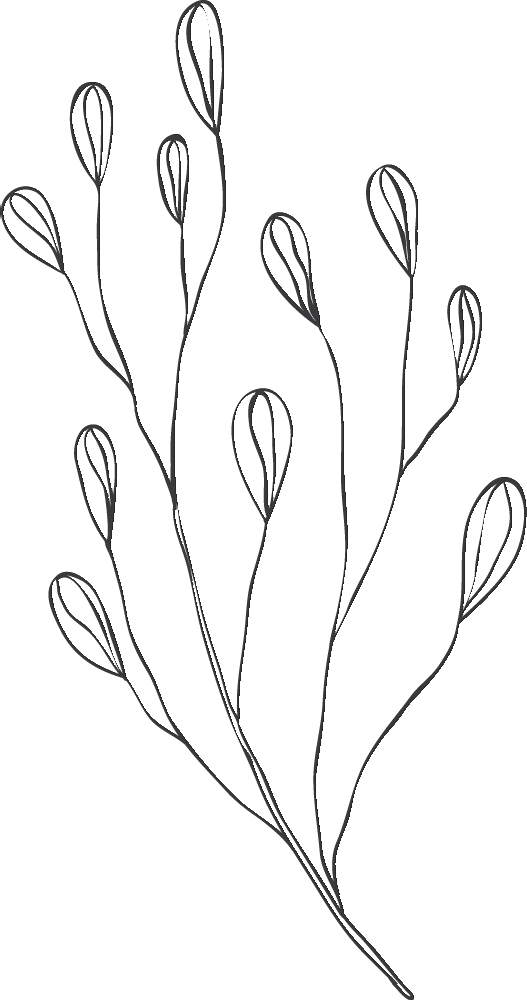 Fotógrafo de bodas en Bilbao, Fotógrafo de bodas en Donostia, Fotógrafo de bodas Bilbao, Fotógrafo de bodas en San Sebastián, Fotógrafo de bodas Gipuzkoa, Ezkontzak, Bodas bonitas, Bodas Vascas, Bodas en Euskadi, Reportaje de bodas Bilbao, Reportaje de bodas en San Sebastián