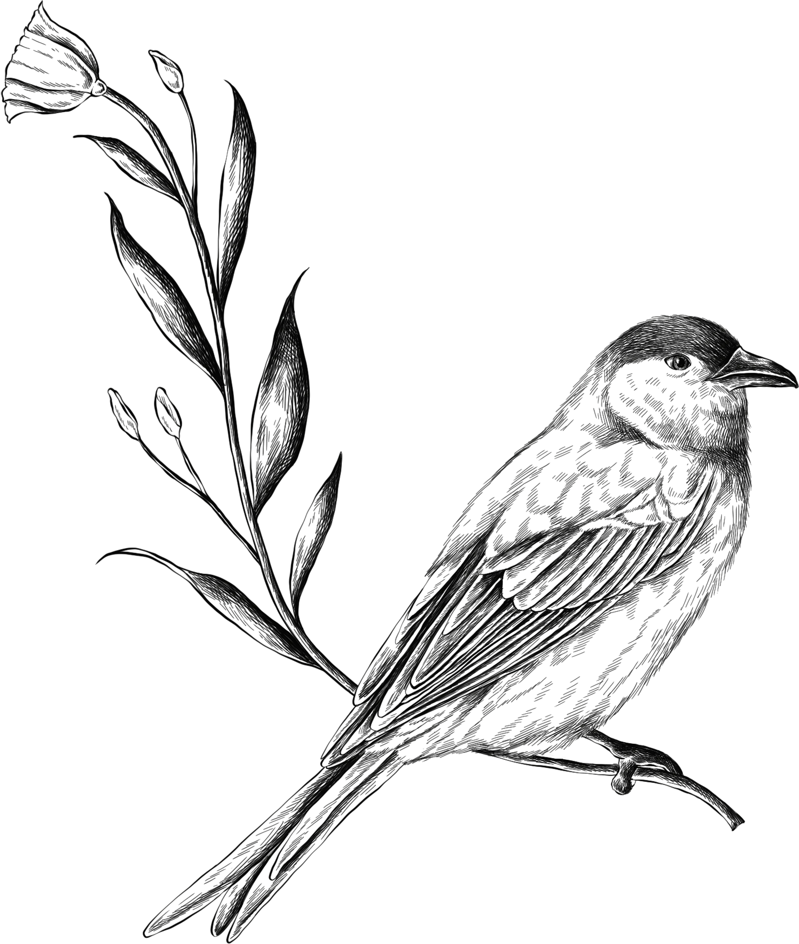 Fotógrafo de bodas en Bilbao, Fotógrafo de bodas en Donostia, Fotógrafo de bodas Bilbao, Fotógrafo de bodas en San Sebastián, Fotógrafo de bodas Gipuzkoa, Ezkontzak, Bodas bonitas, Bodas Vascas, Bodas en Euskadi, Reportaje de bodas Bilbao, Reportaje de bodas en San Sebastián